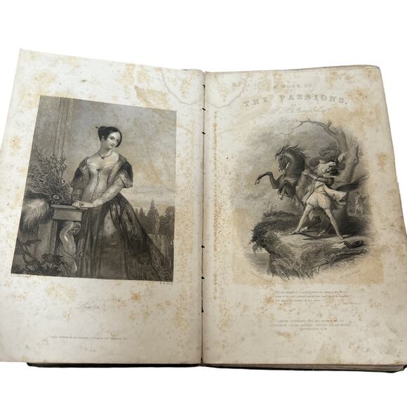 1839 A Book of The Passions by G.P.R. James - Illustrated - Picture 1 of 10